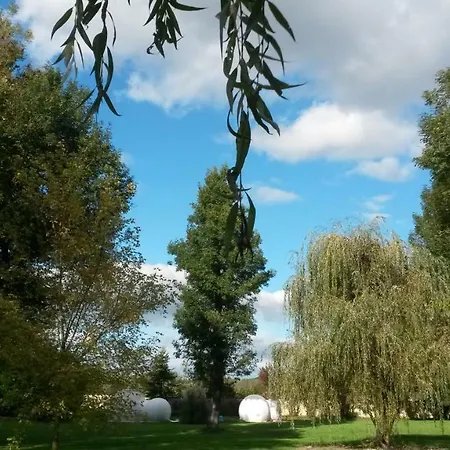 Camping Domaine Du Marais